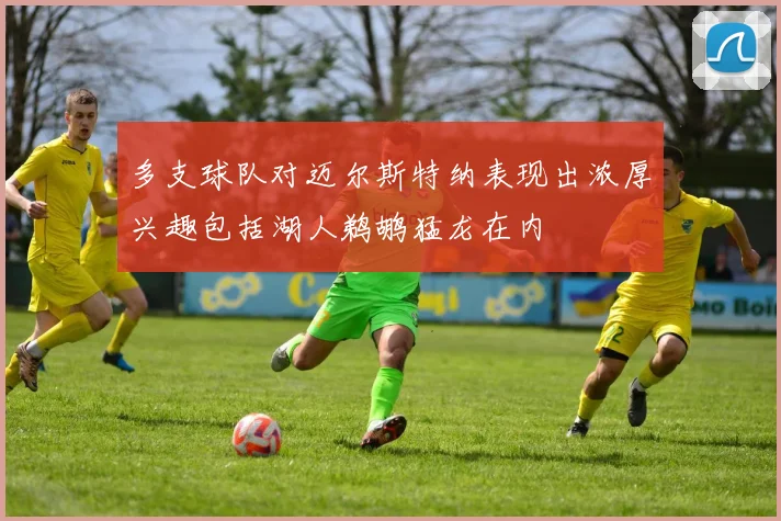 多支球队对迈尔斯特纳表现出浓厚兴趣包括湖人鹈鹕猛龙在内