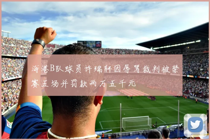 海港B队球员许瑞轩因辱骂裁判被禁赛五场并罚款两万五千元